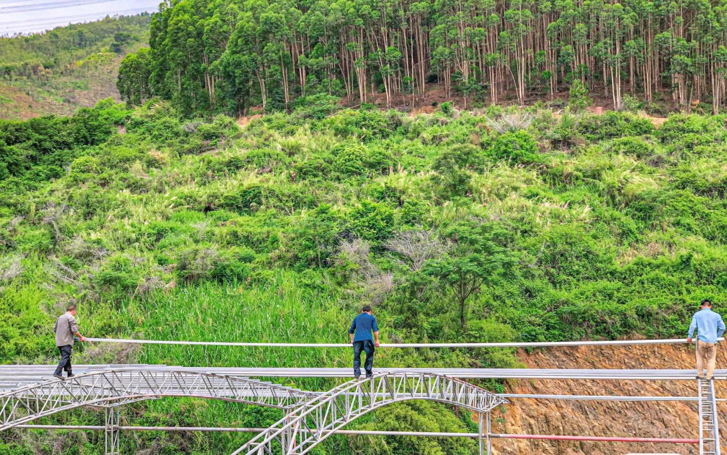 大姨被打后续,姨夫深夜吃饭被打