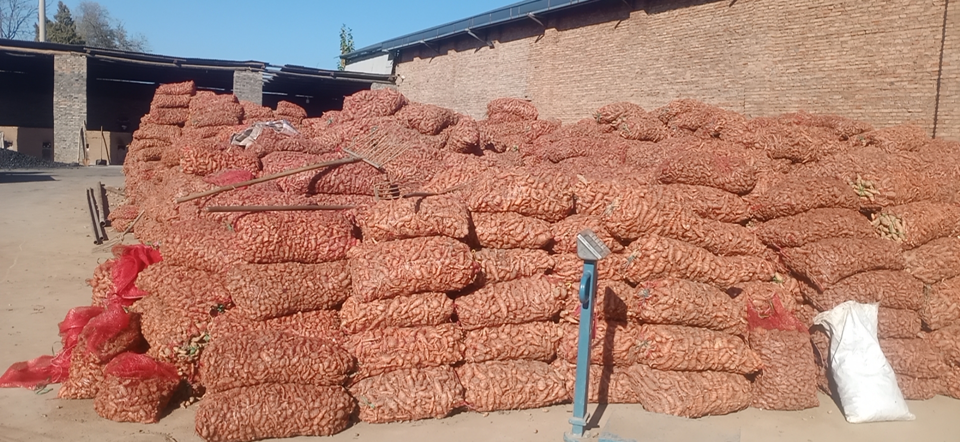 网带式药材烘干机效率,药材烘干机械设备厂家供应