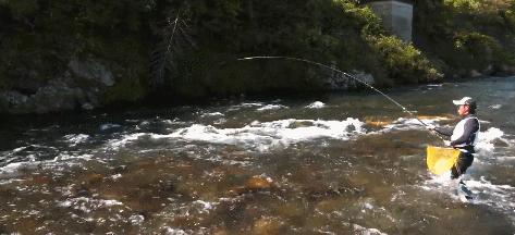 渔具产品了解,渔具品牌知识大全