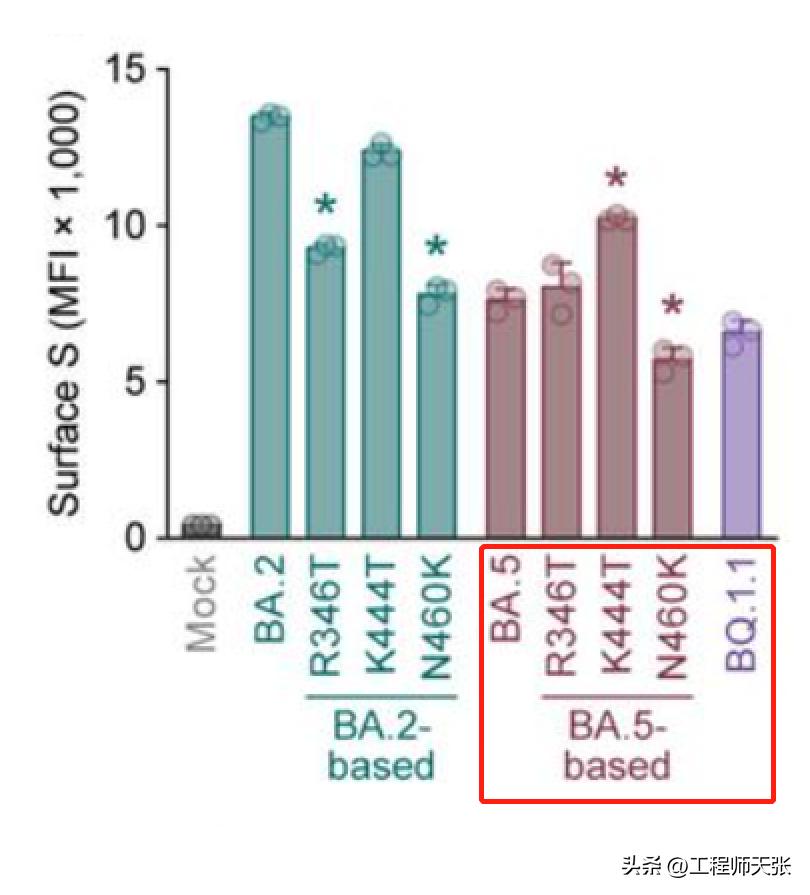 奥密克戎加速变异，地狱犬BQ.1.1来了！传染力致病力免疫逃逸咋样