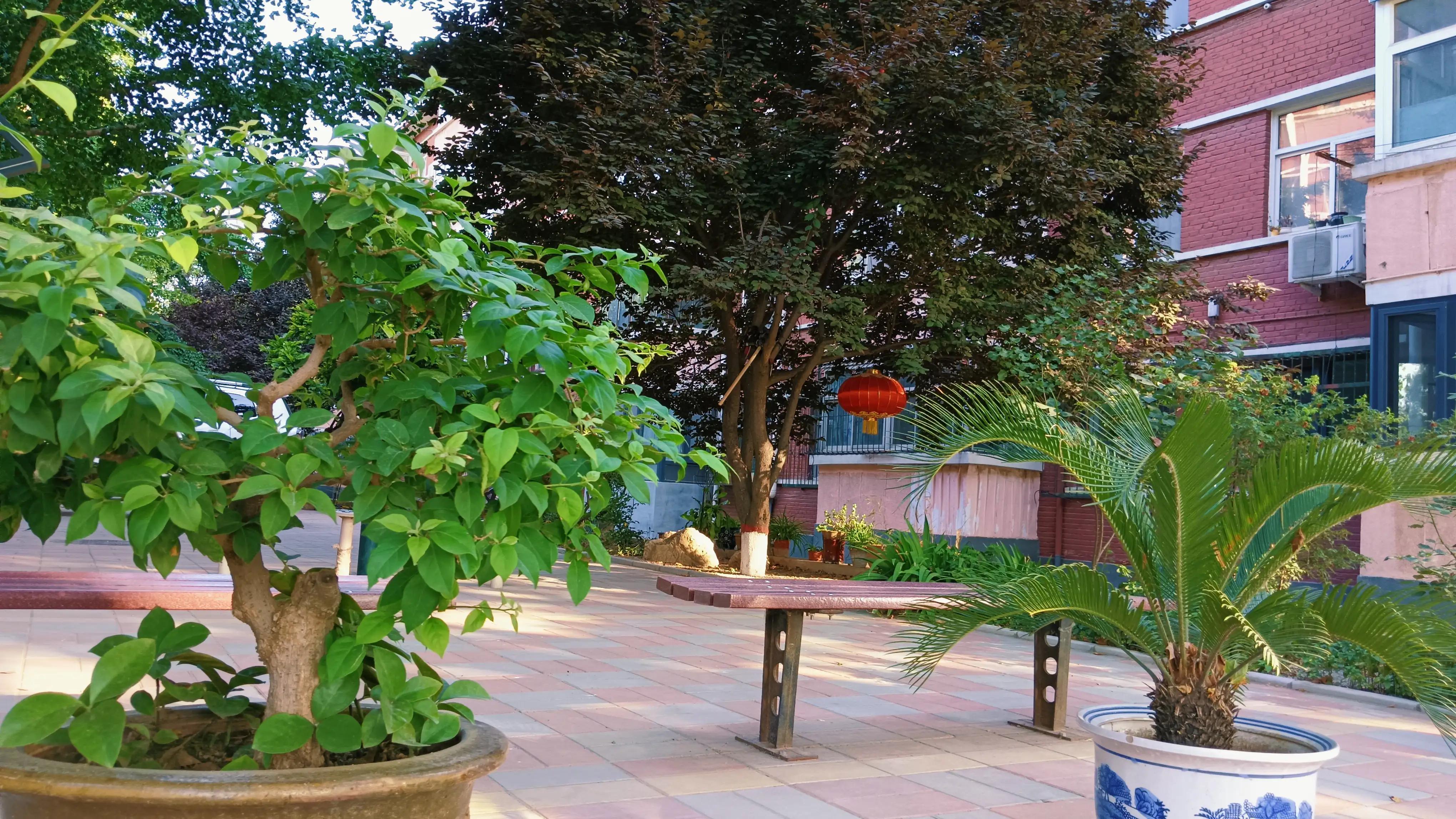 我56岁，退休后为爱离婚，每月2千工资，没钱没房，不知该如何过