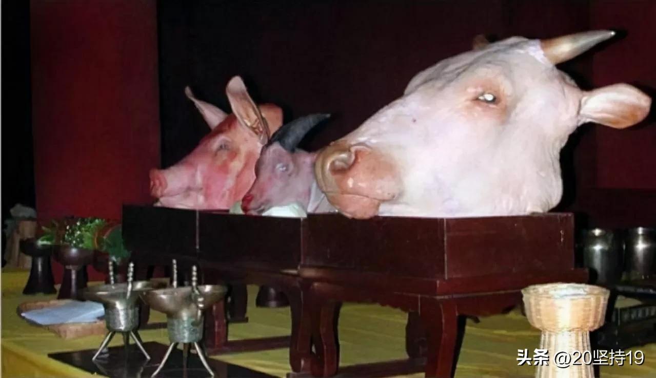 你知道为什么骂人用“猪狗”，夸人用“牛马”吗？