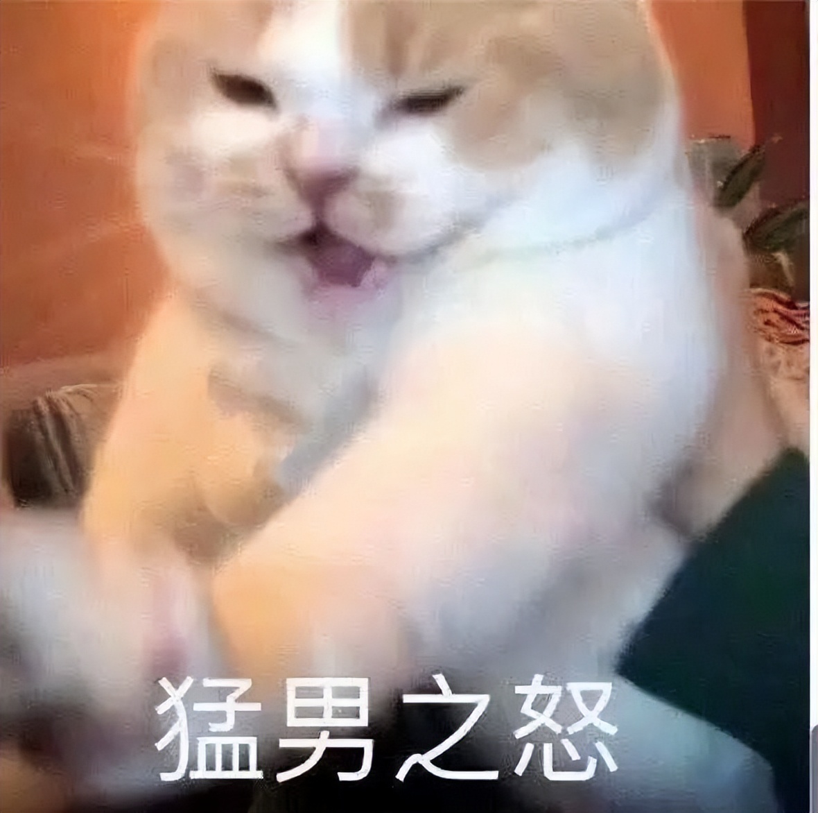 七匹狼腰带搞笑视频,被七匹狼打是一种什么感觉