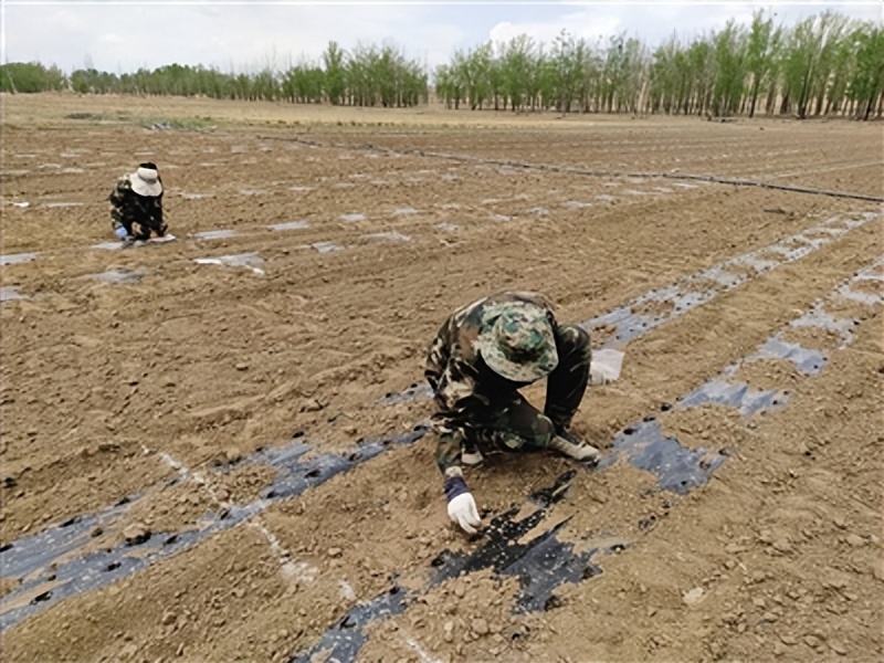 科技兴农激活乡村振兴新动能,科技兴农助力乡村振兴