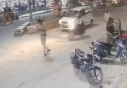 20张珍稀罕见动物照片,16张罕见的动物照