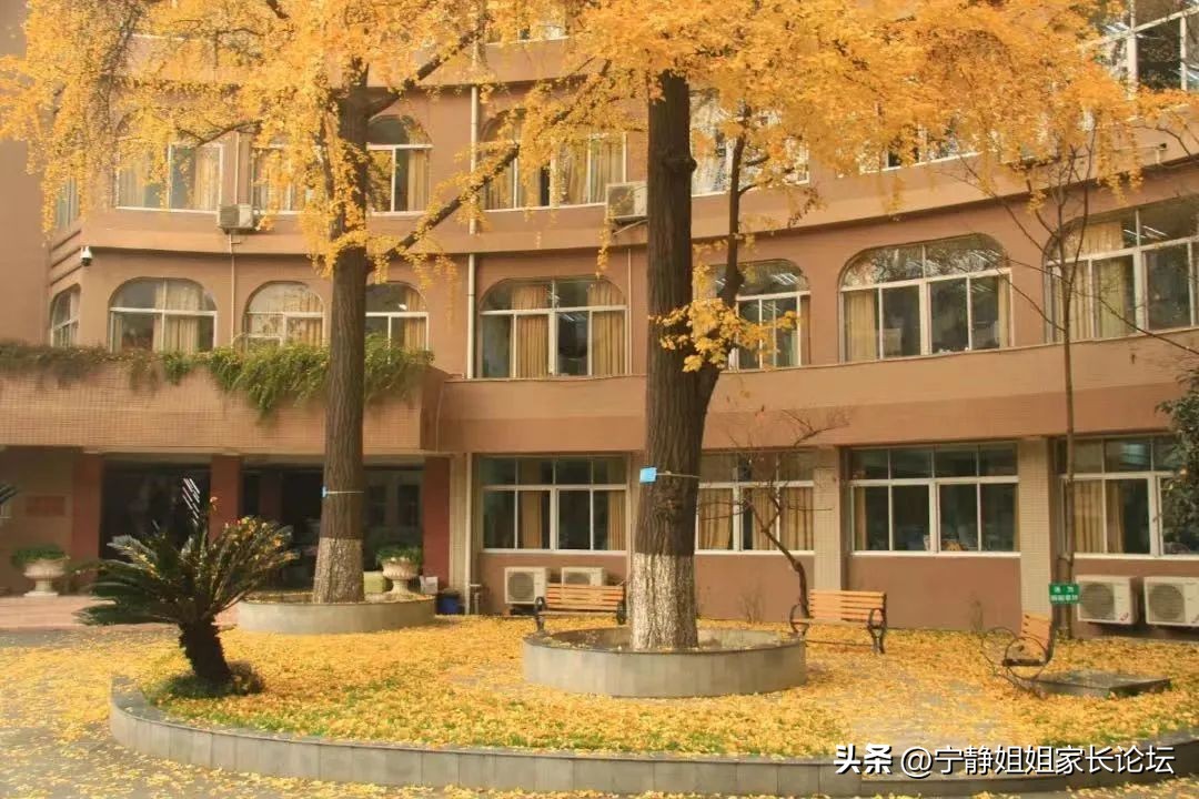 成都的老牌中学,成都十大顶级中学