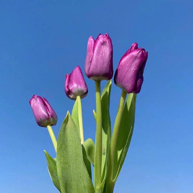 成年人的个性签名,成熟内涵,人人点赞!