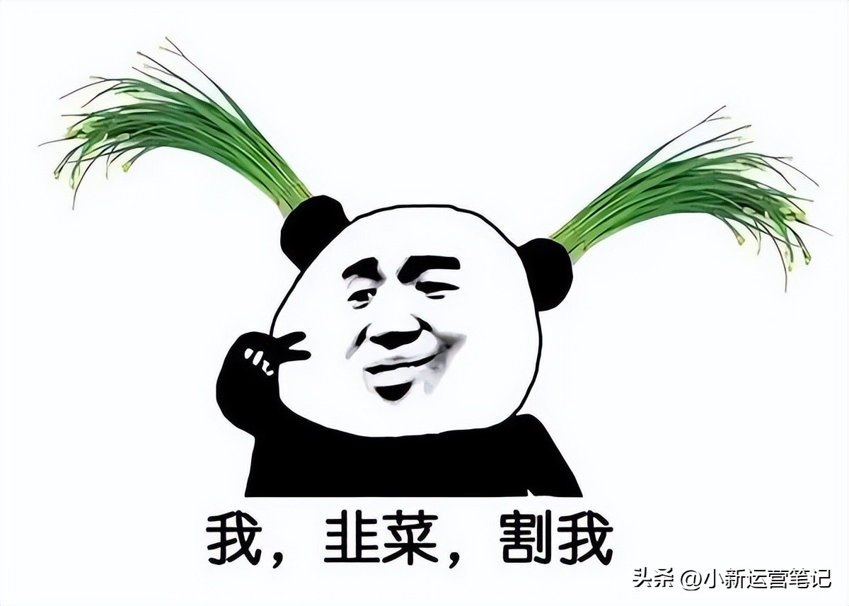 tiktok是怎样运营和赚钱的,tiktok挣钱渠道是什么