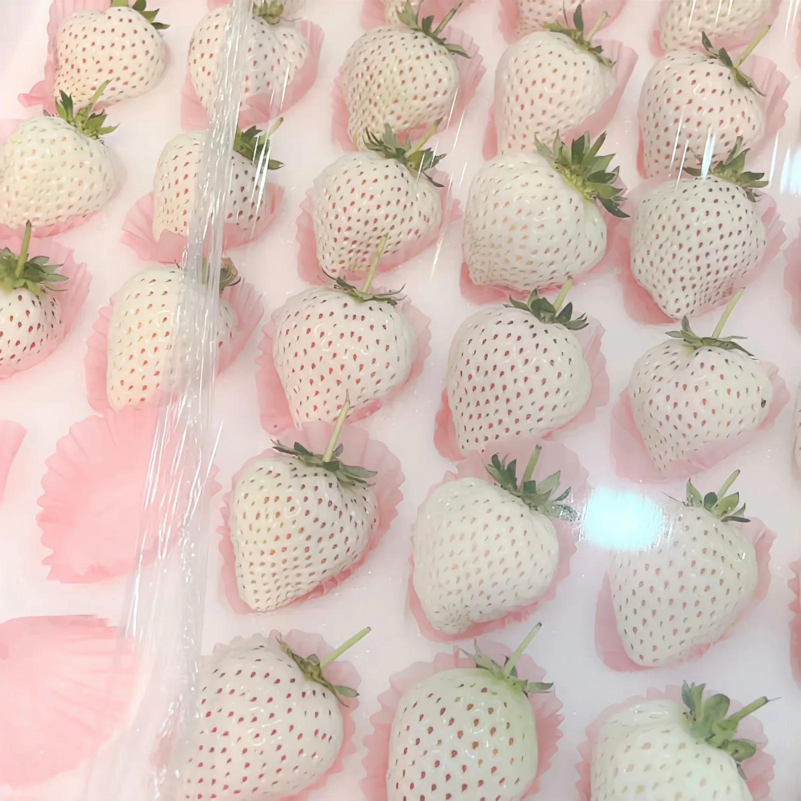 长期不换背景图,不换背景图片