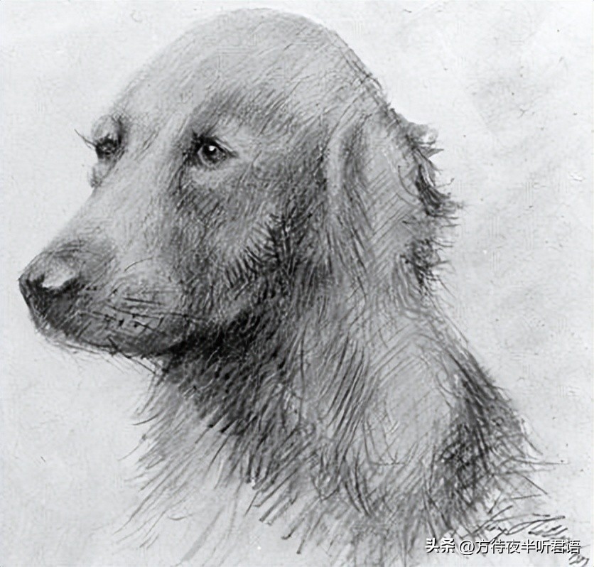 世事沧桑难得一回,世事沧桑难得醉图片