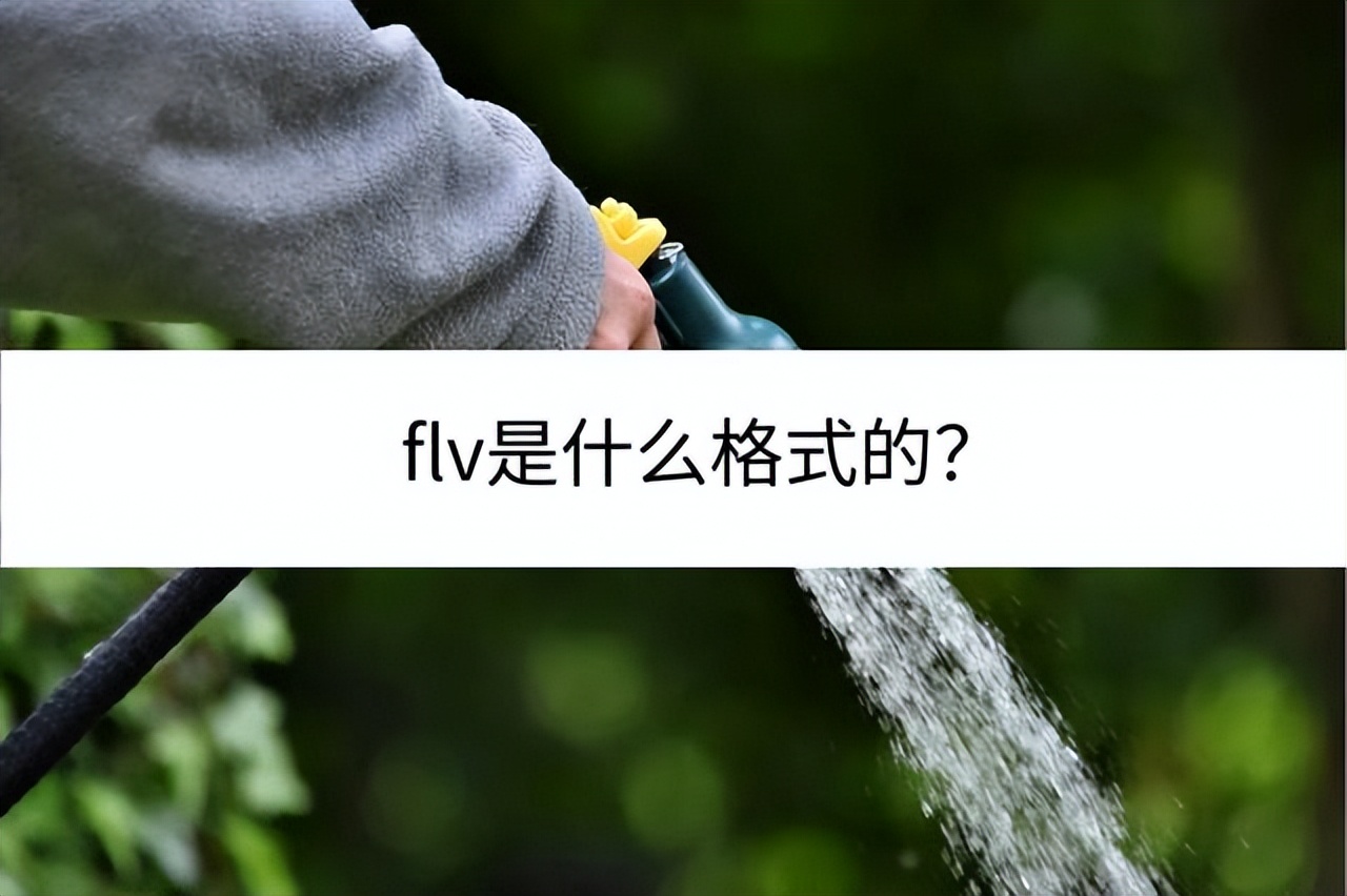 flv格式和dash格式哪个好,flv格式转换成mp4格式会清晰不