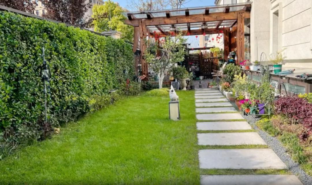 86岁“清醒奶奶”，在线安排身后事