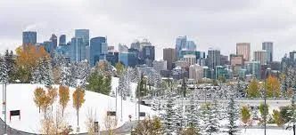 百升汽油$184！温哥华油价狂飙刷新历史纪录，完爆全球多个大都市