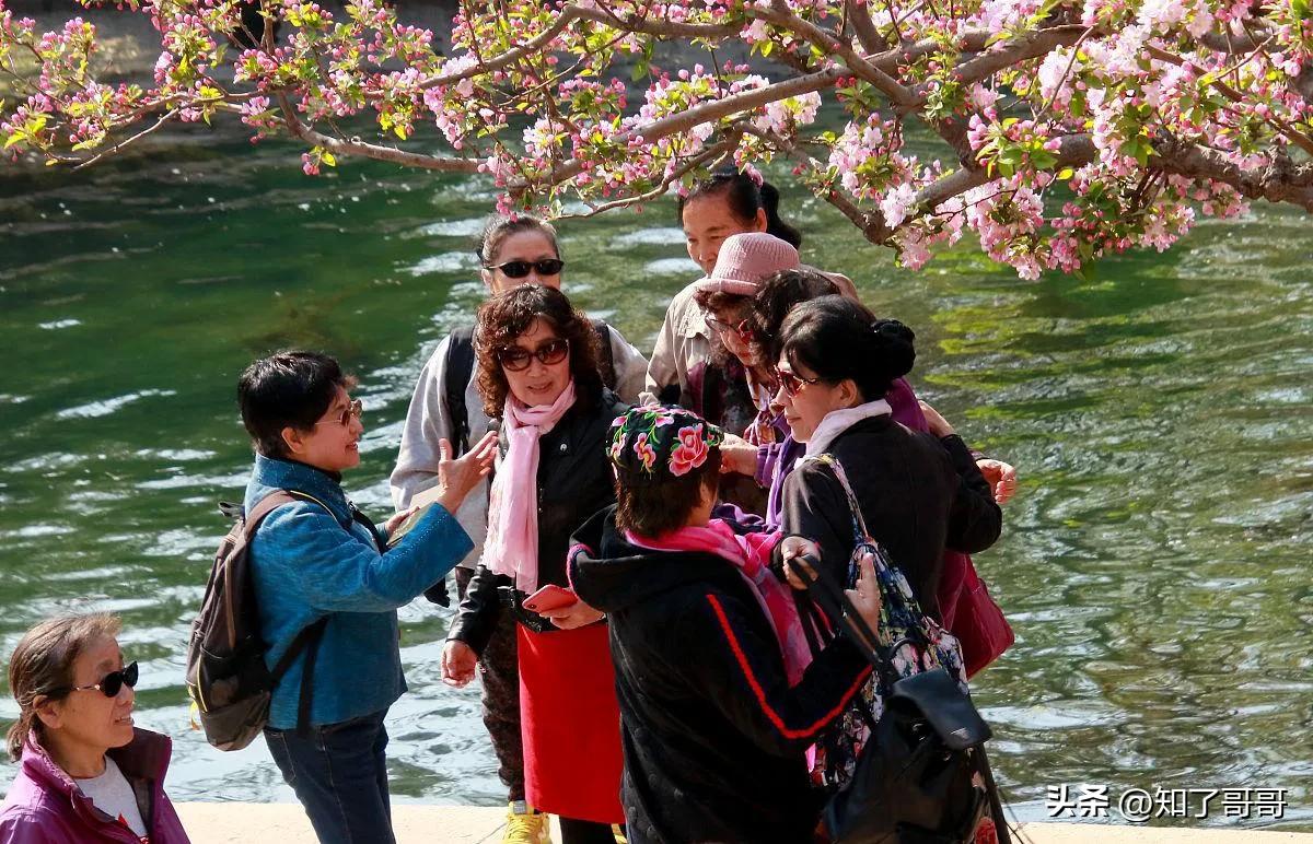 大龄剩女对待情感,大龄剩女为什么那么高傲