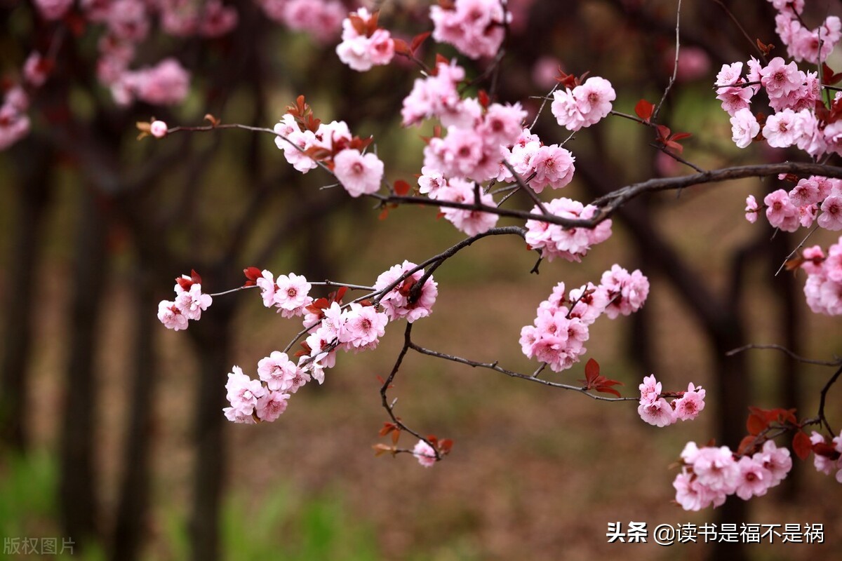 国学经典资治通鉴100句,国学经典之三国志导读第六十三讲