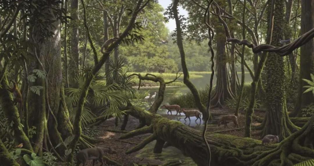 北极新发现甲烷了吗,北极甲烷大爆发是哪一年