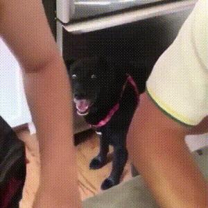 小哥也太菜了，不但没打中一个，还摔倒了，而且这不是足球