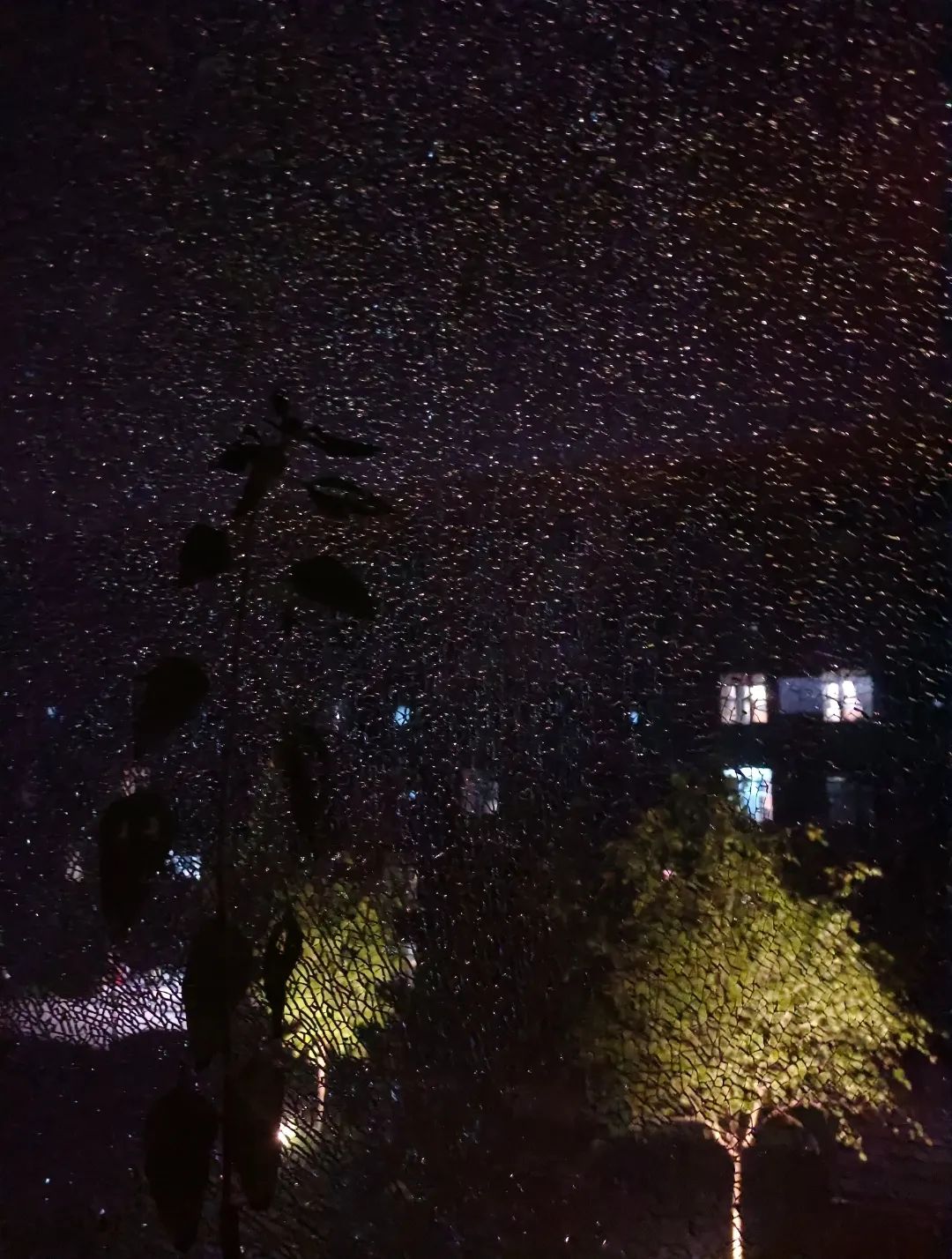 7月份人来人往街道,7月北京人山人海