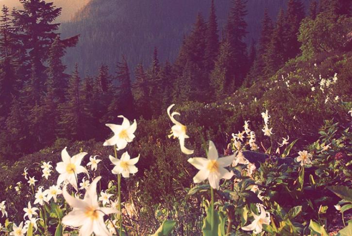 退休以后千万别帮子女一种忙,退休后这三种忙别帮儿女太多