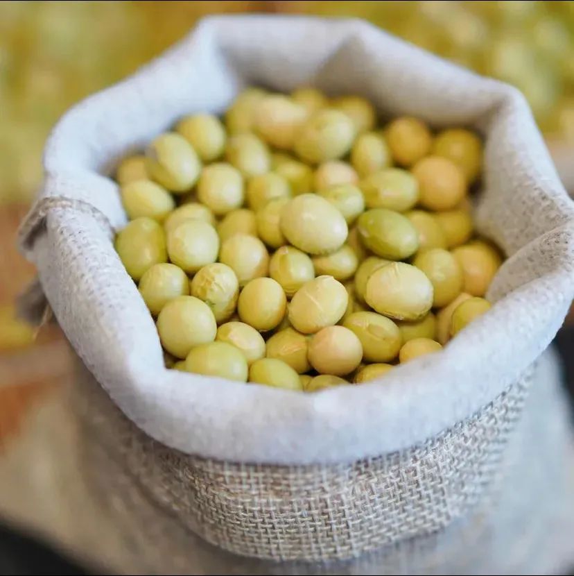 95后创业小伙回老家,95后小伙回国创业