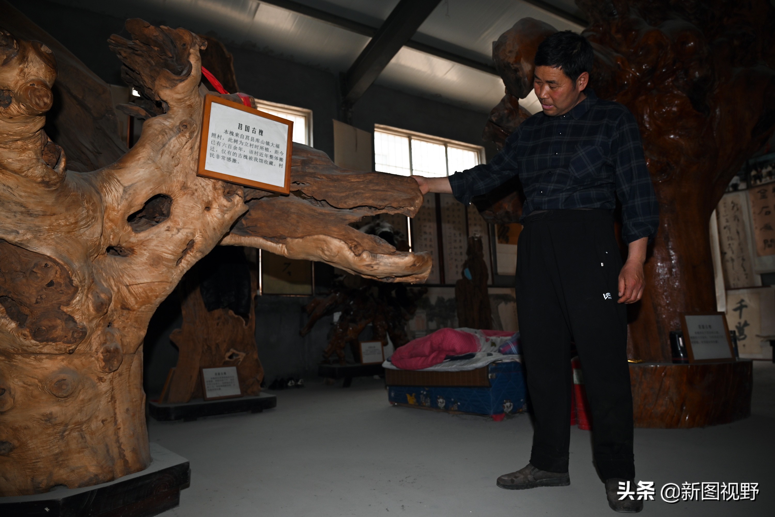 54岁农村大哥，把枯木当宝贝，13年来只收不卖，看他做啥生意