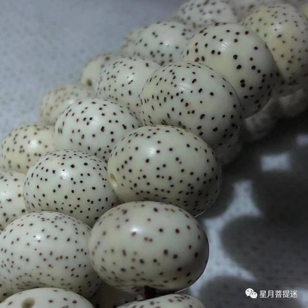 真正的星月菩提,顶级的星月菩提是玉化的吗