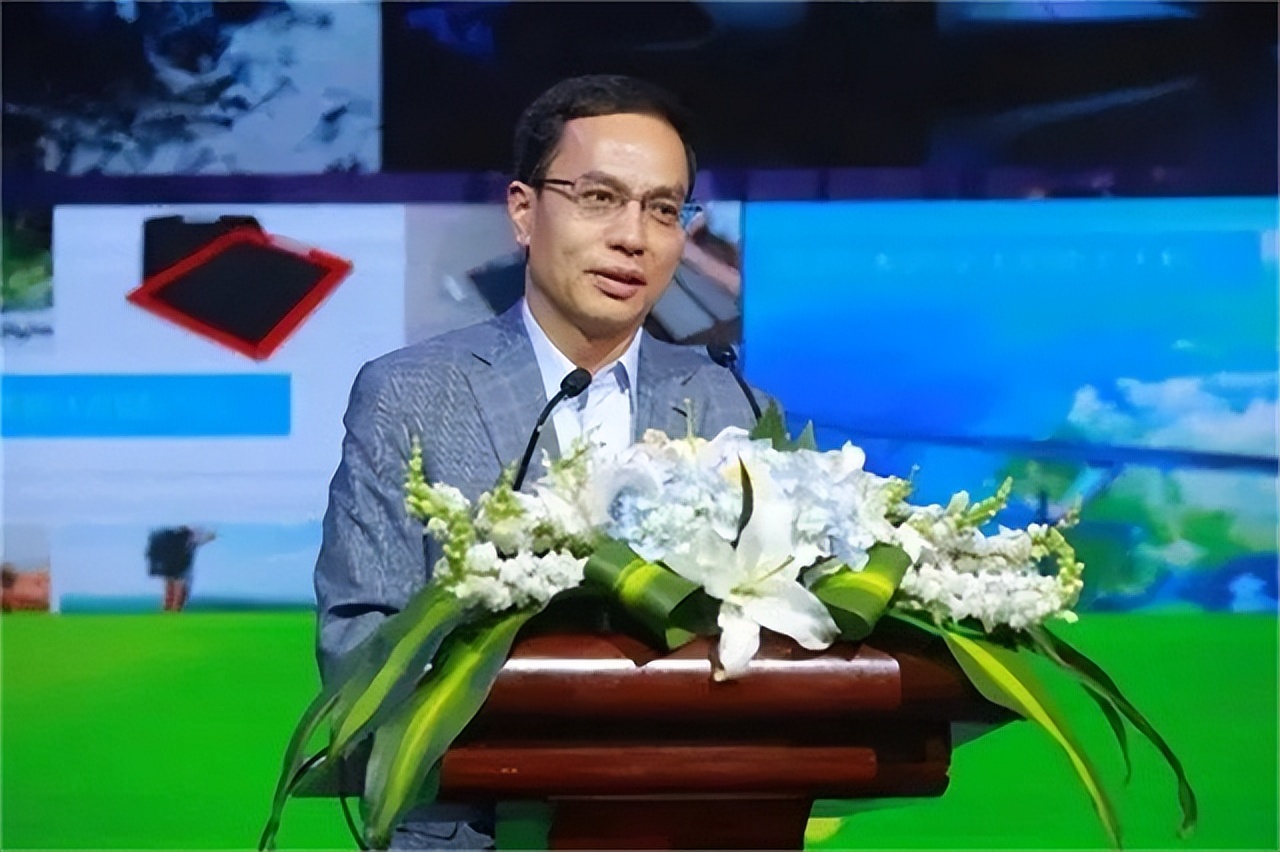 中国首富负债245亿,昔日首富成老赖资产甩卖无人问津