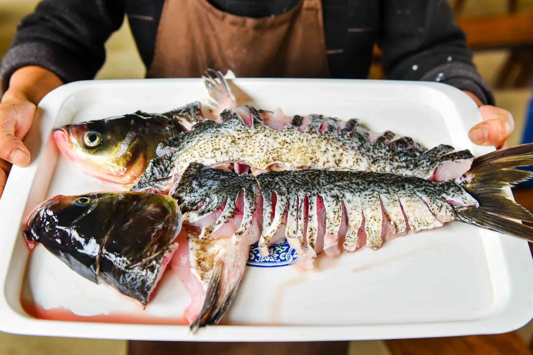 秀丽东方最新版,秀丽东方最新视频