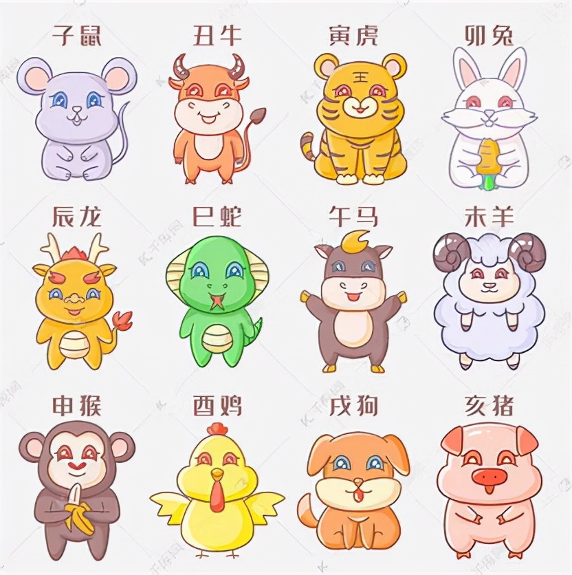 12生肖的生肖卡,12生肖的生肖运势