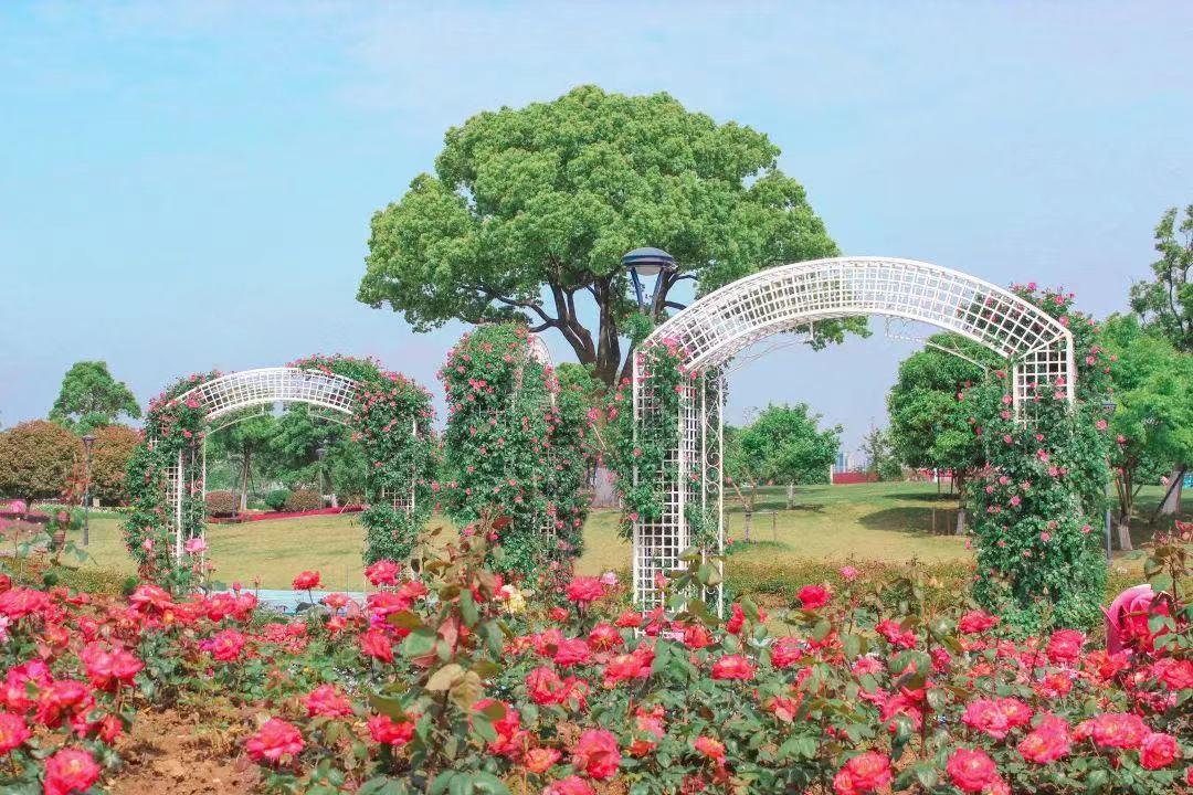 五一的常州,常州的五一