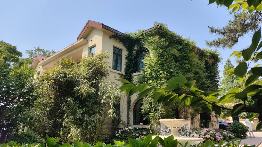 品读青岛,品读文人墨客诗句