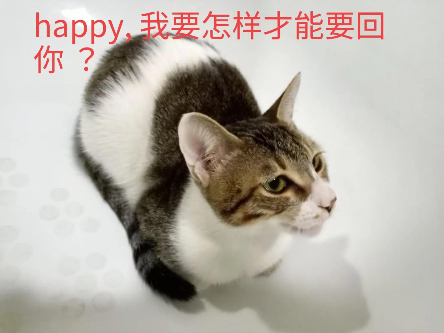 happy鎴戠殑濂冲鎻掓洸,浣爃appy鎴戜篃happy