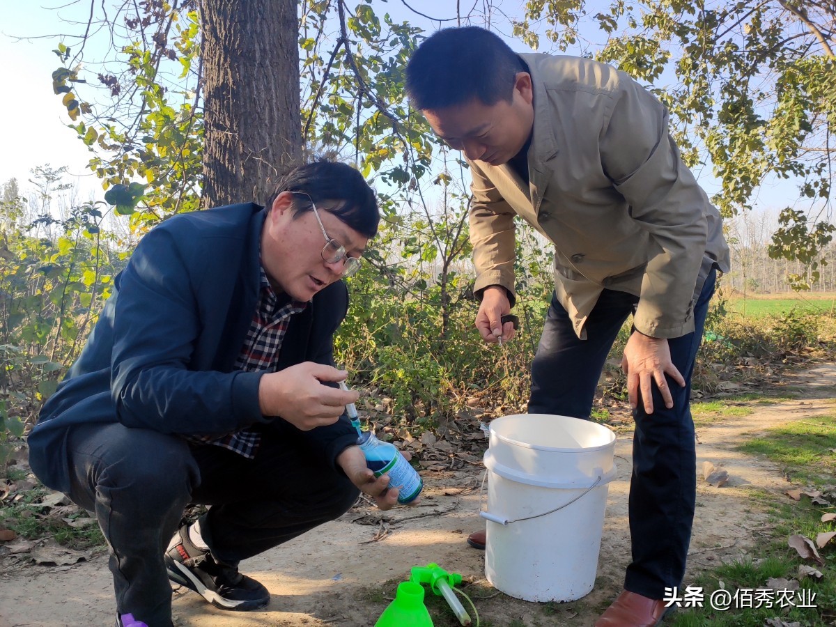 草甘膦除草剂价格走势图最新消息,草甘膦除草剂价格涨了吗