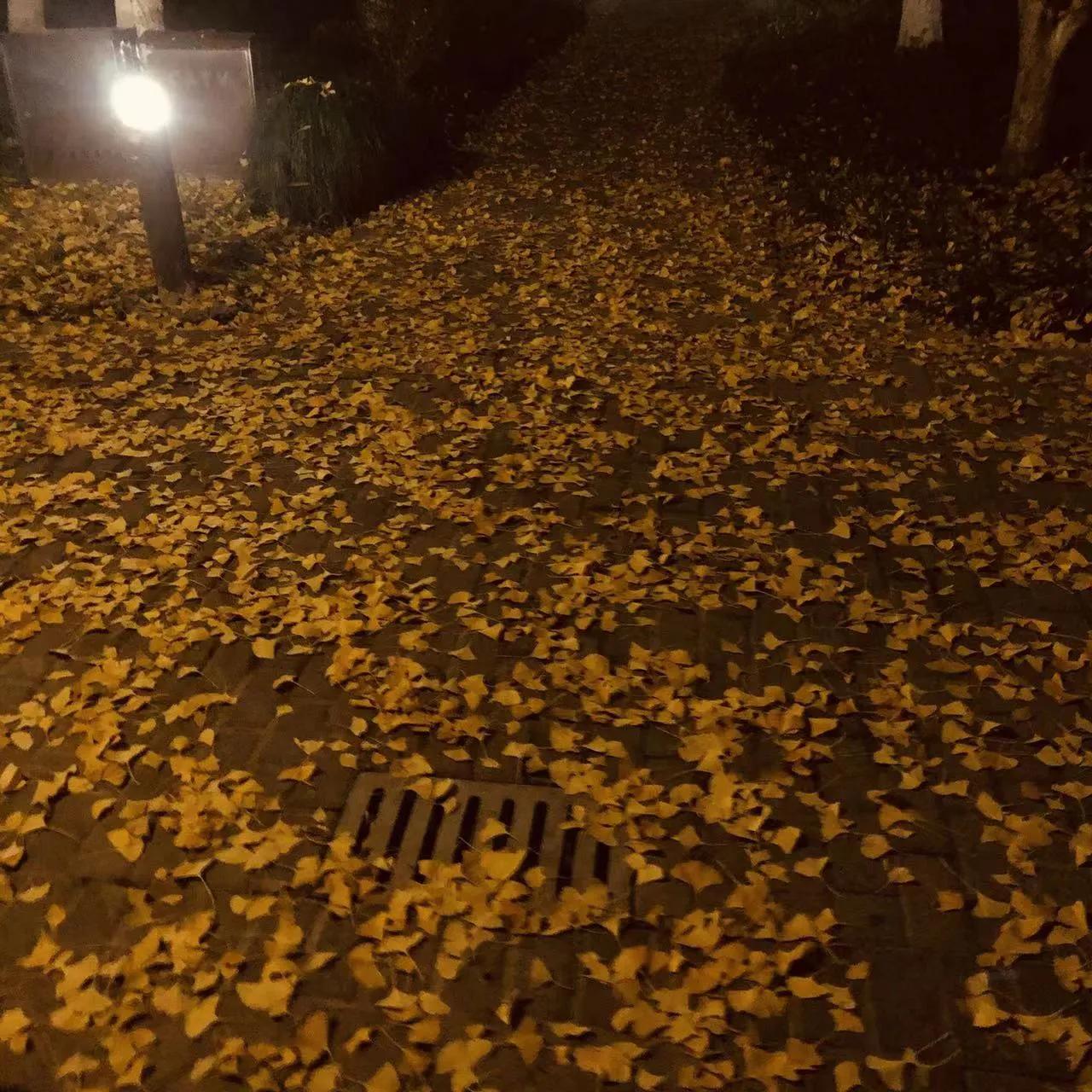 上海正常外卖员一个月挣多少钱,在上海外卖员一个月真实收入