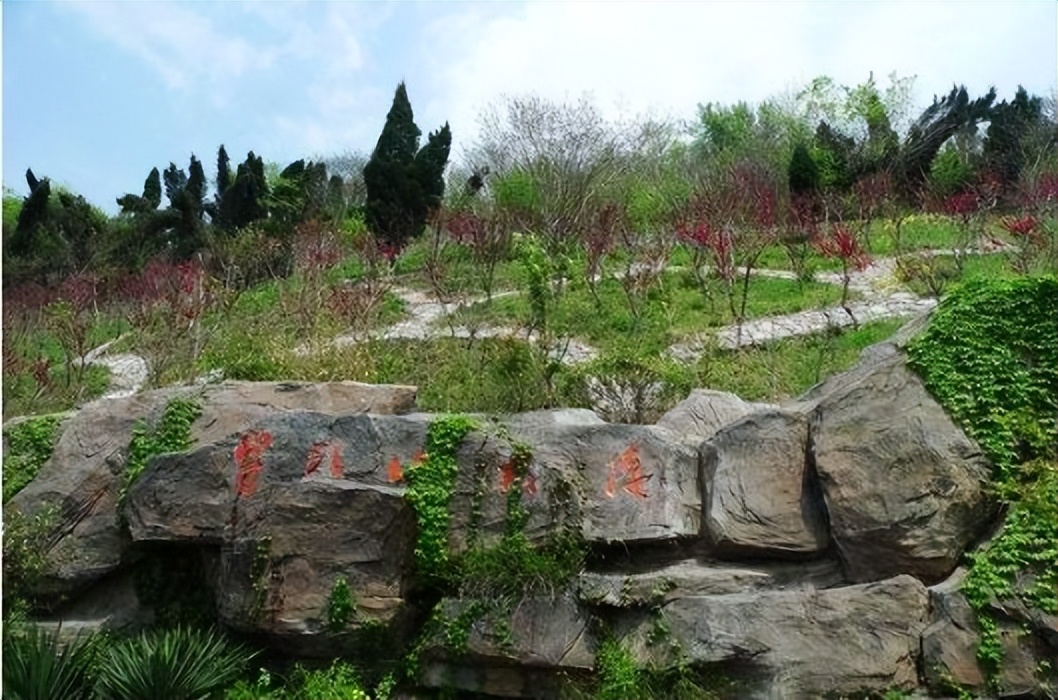 最美江宁四月天,我们只谈春暖花开,诗词歌赋,不聊红尘俗世