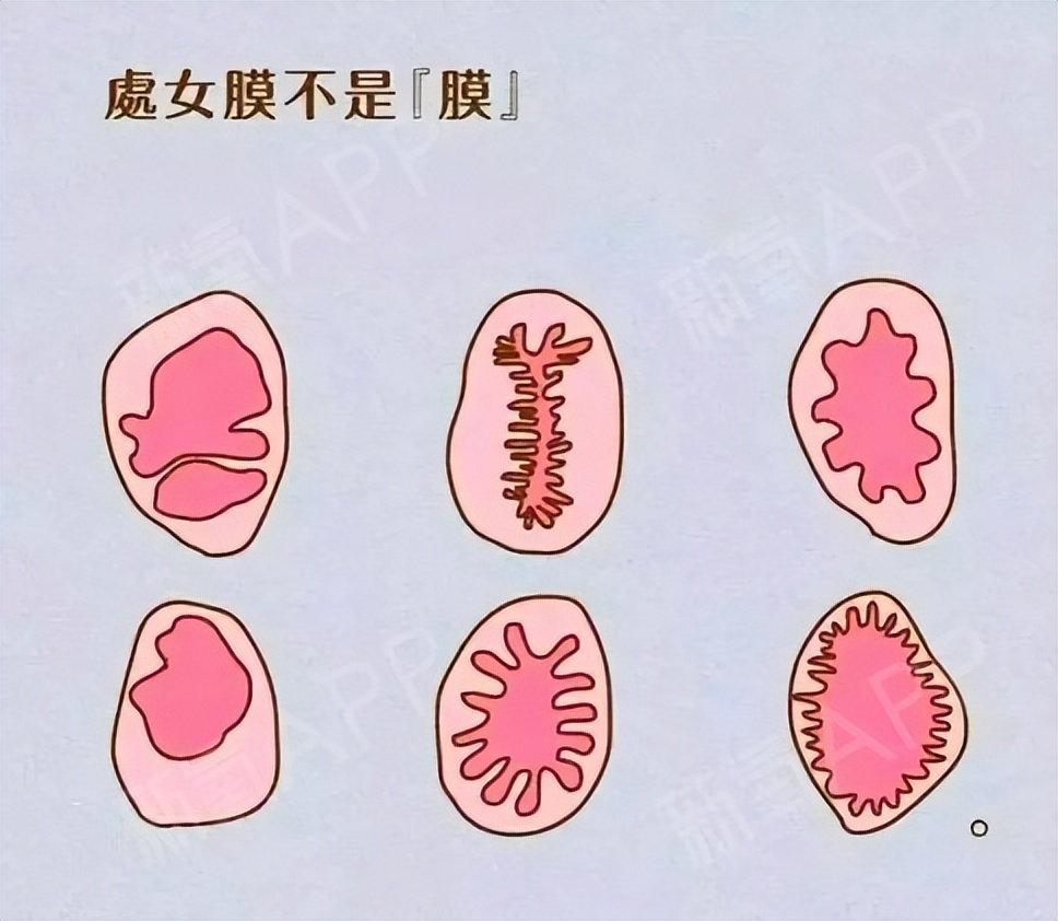 女孩第一次过*生活性**,并不是都会*体下**流血,请不要冤枉她们的贞洁
