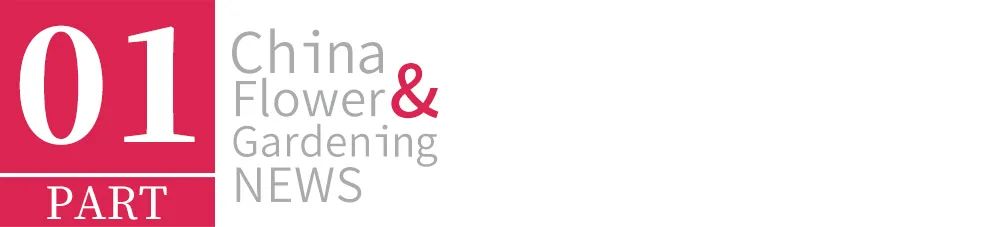 用3个月，为实体花店赋能，泉州是怎样操作的？