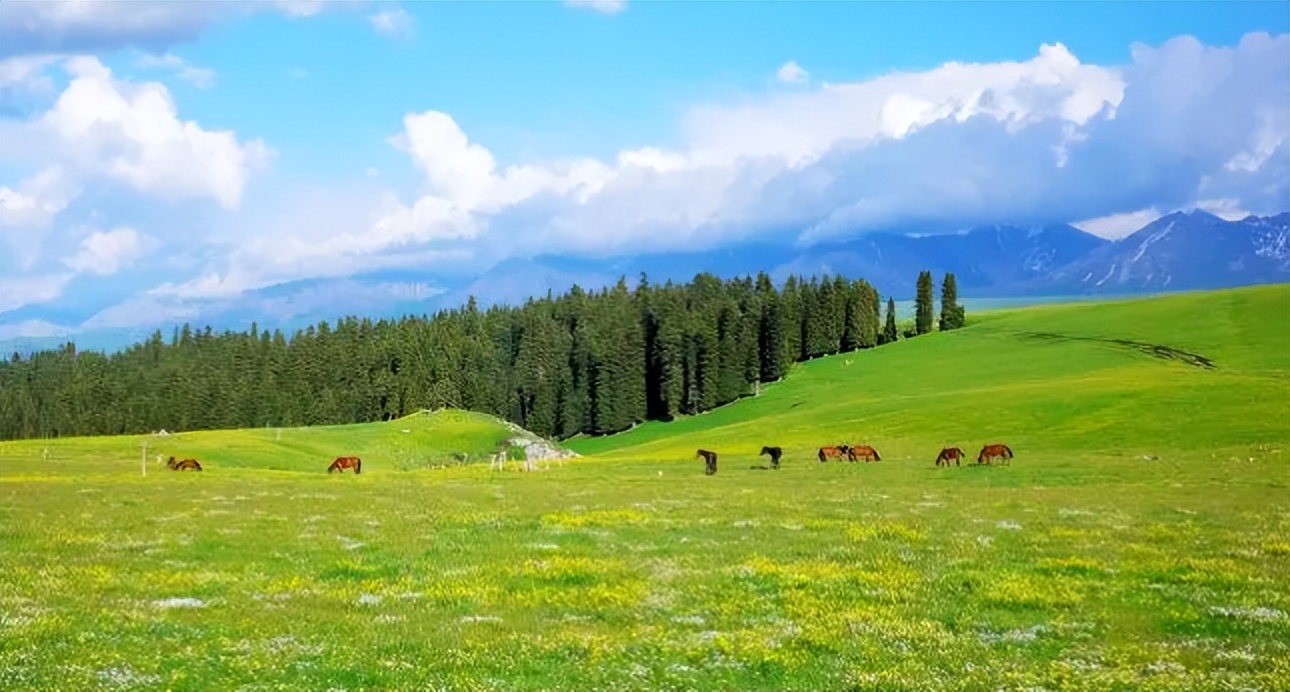 阎厹|有情堪向诗中老，无帽何妨醉横斜（原创诗词二十首）