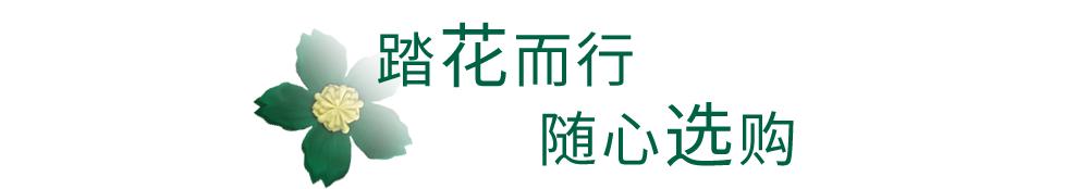 filafusionbeams联名,filafusion三里屯