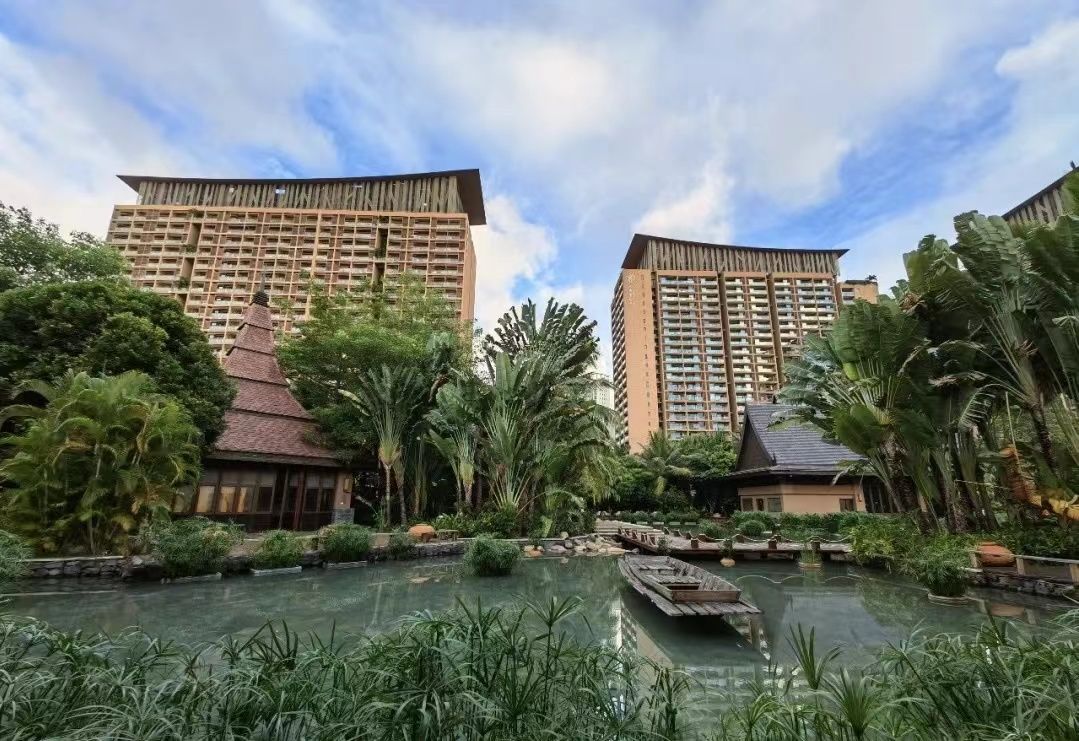 海南三亚湾红树林,三亚湾哪个红树林最好