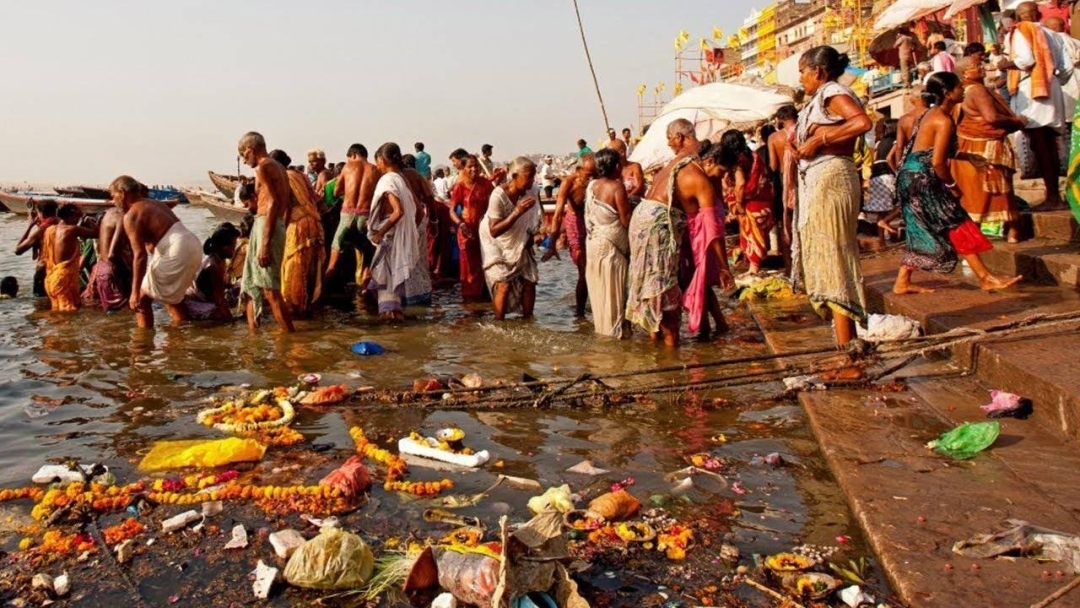卡塔尔租借熊猫一次成功,卡塔尔为什么租借熊猫