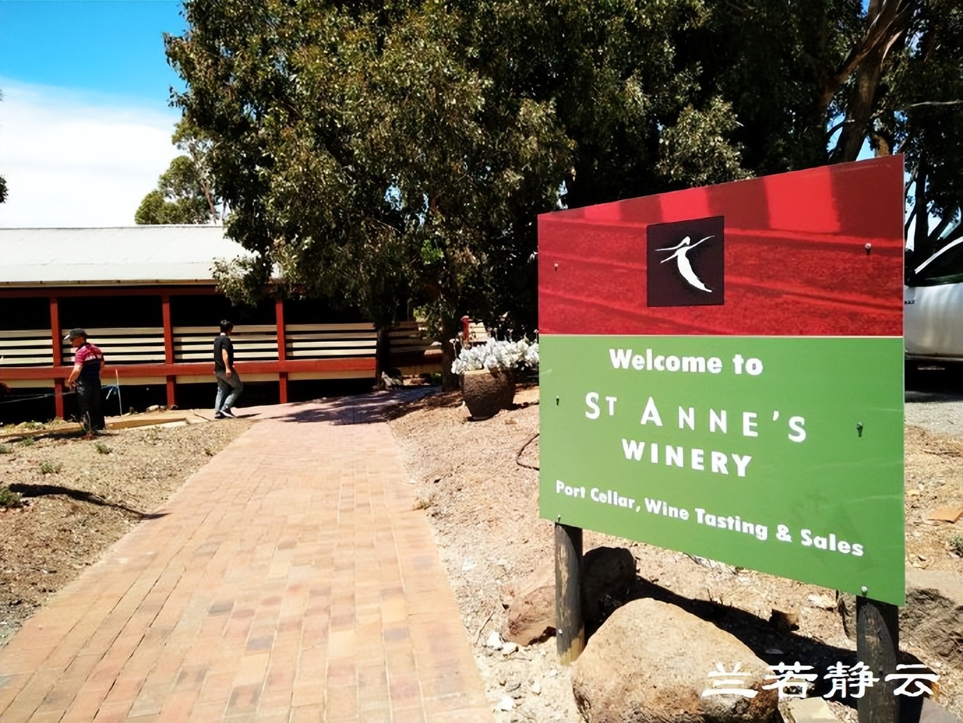 澳洲·墨尔本：到酒庄免费品酒，付5澳元到樱桃园吃到撑