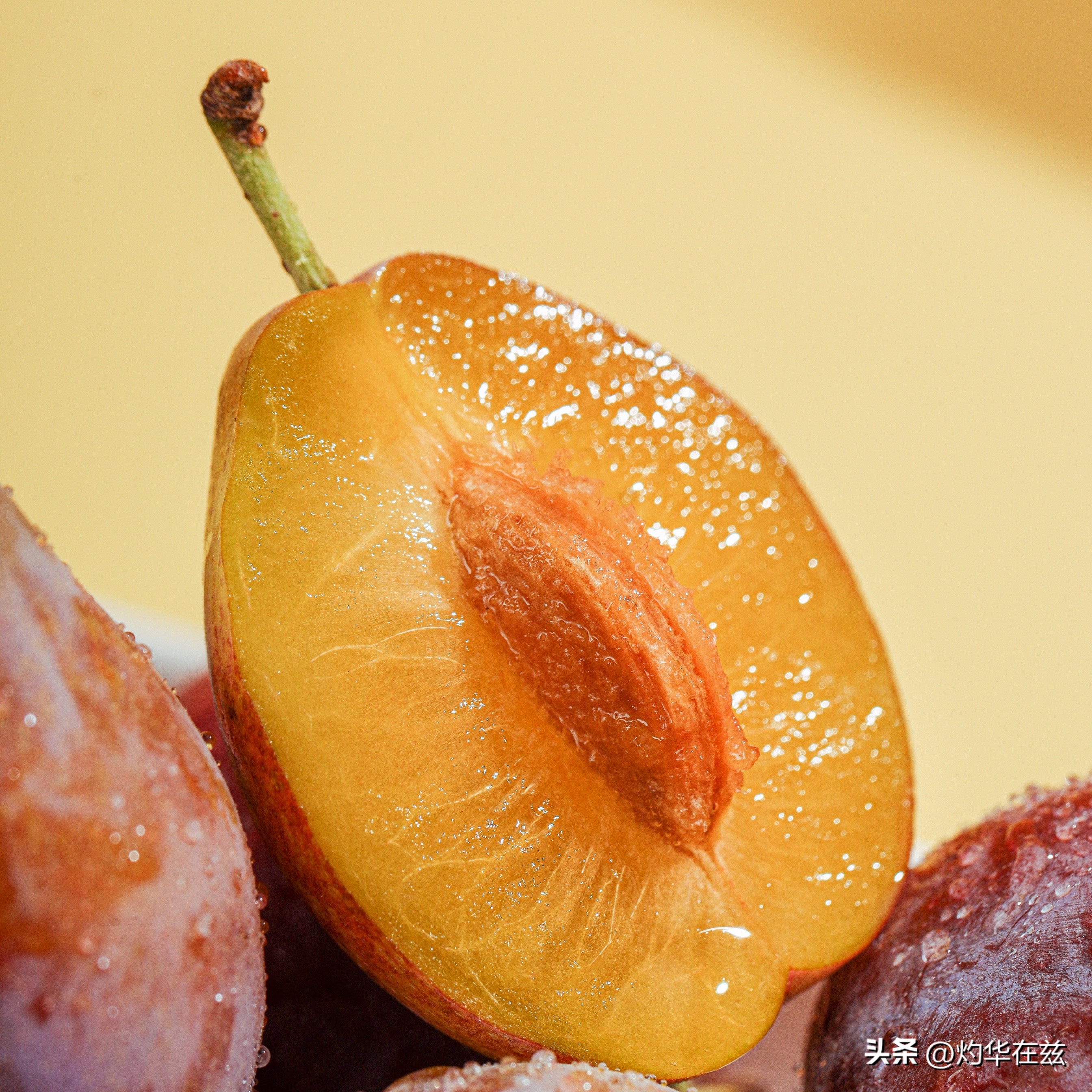 新疆喀什伽师西梅什么时候上市,新疆伽师法兰西西梅干500g