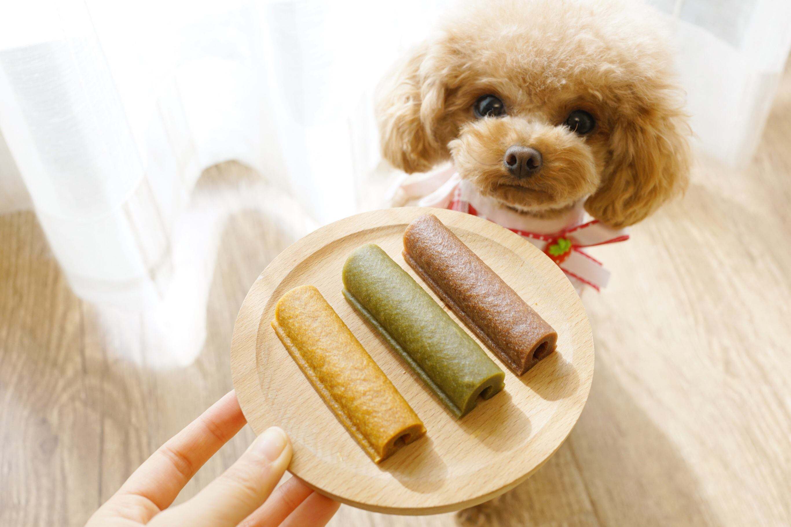 养狗后你可能会发现这些神奇现象,养狗后我发现了这15个神奇现象