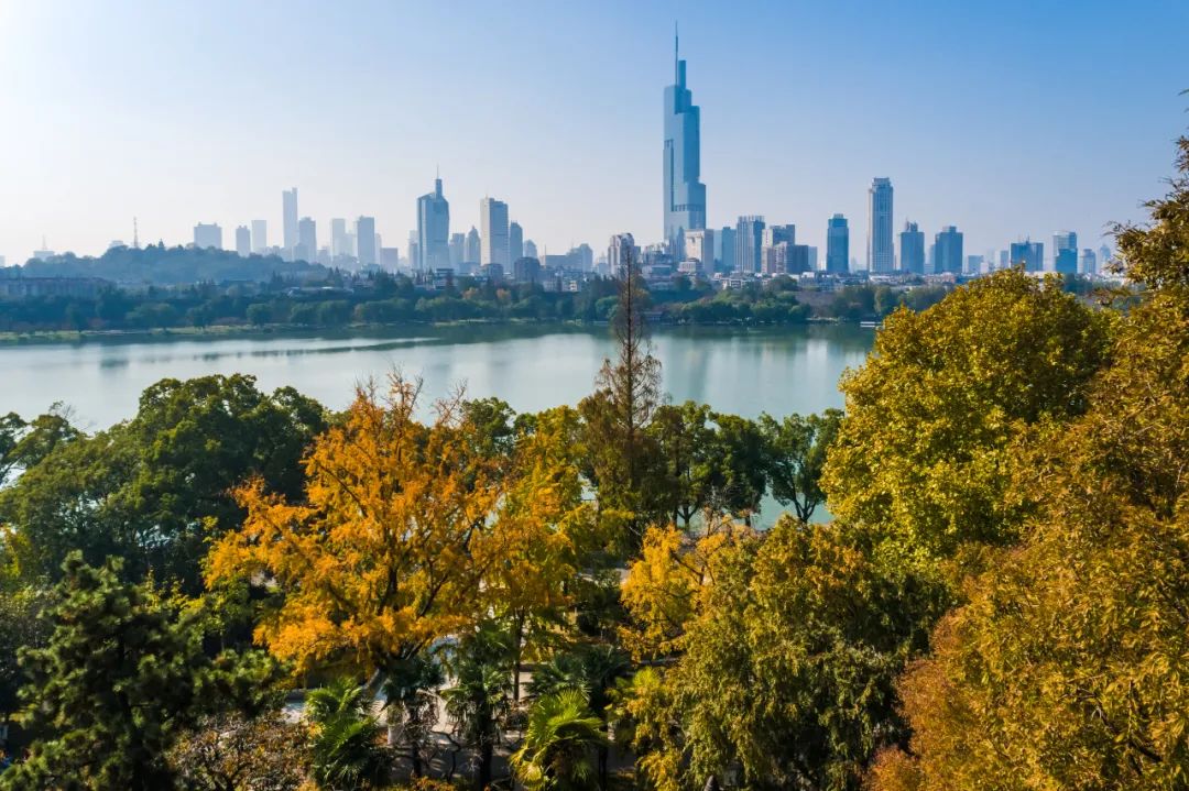 每一片银杏都不会辜负秋天,银杏从来不负秋原唱