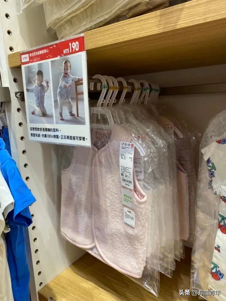 全世界唯一一只世界上最大的猫,世界上最小的体型最大的猫