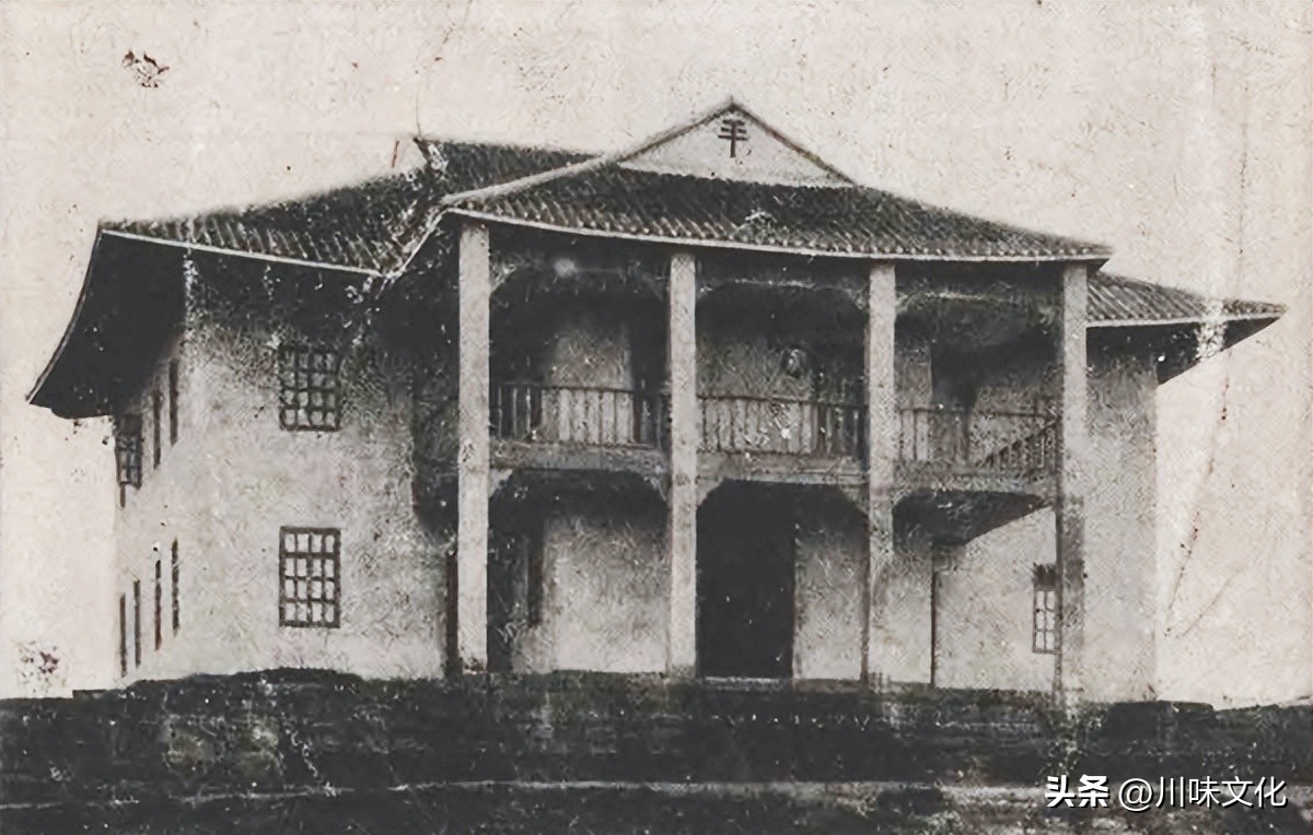 川猪变种记（中）转折