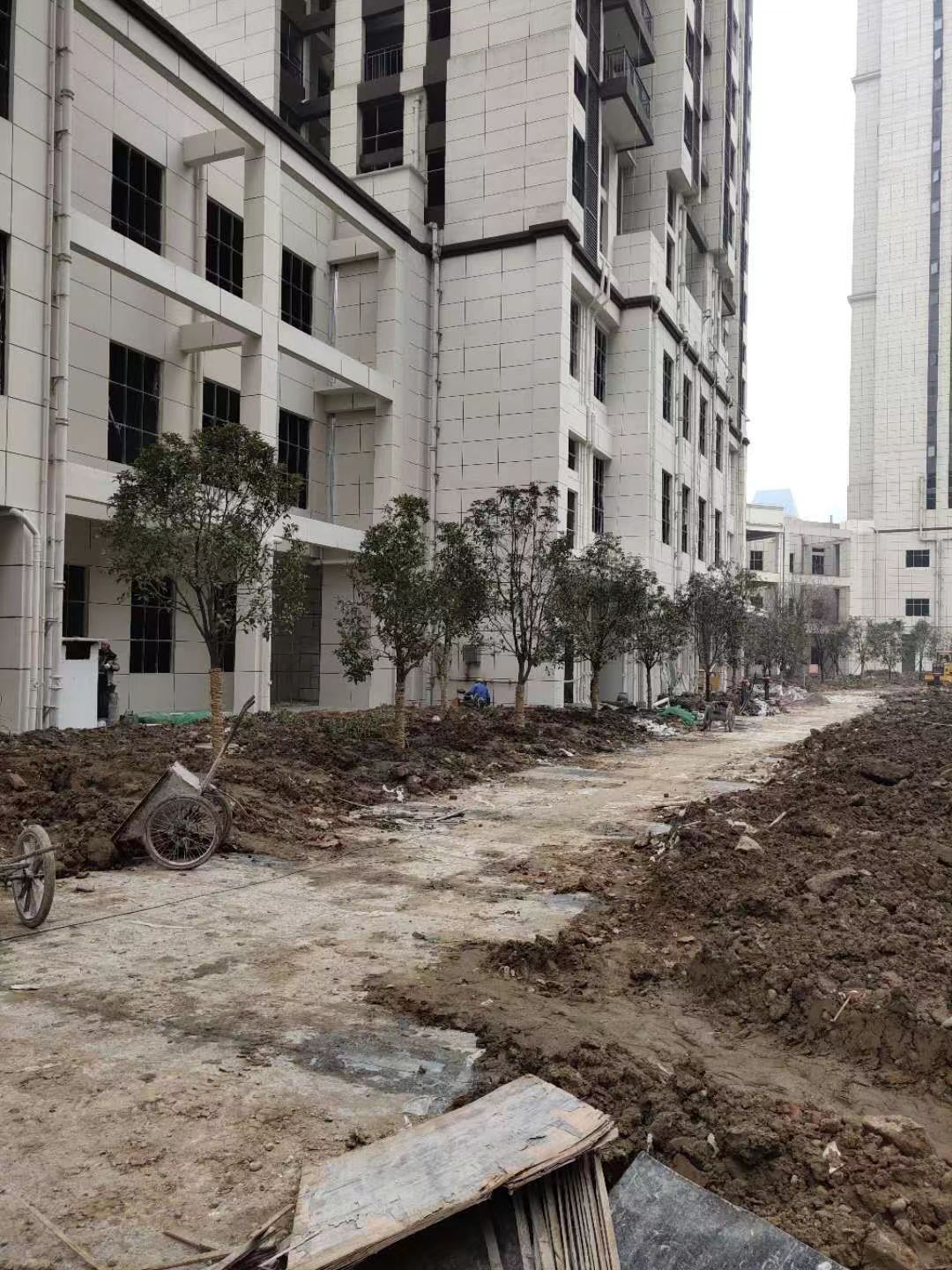 襄阳创建全国文明城市应知应会,2023年全国文明城市襄阳排名