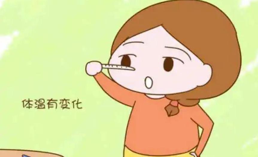 备孕在家怎么测,备孕自己在家怎么测排卵试纸