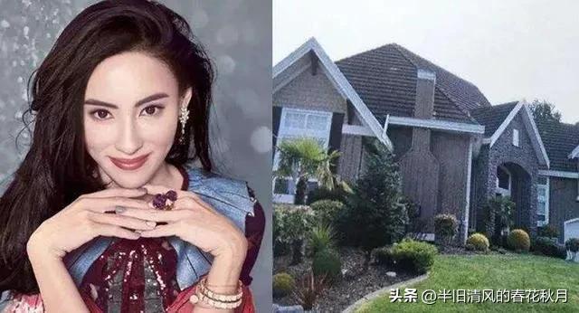 香港影星张柏芝,上海张柏芝的视频